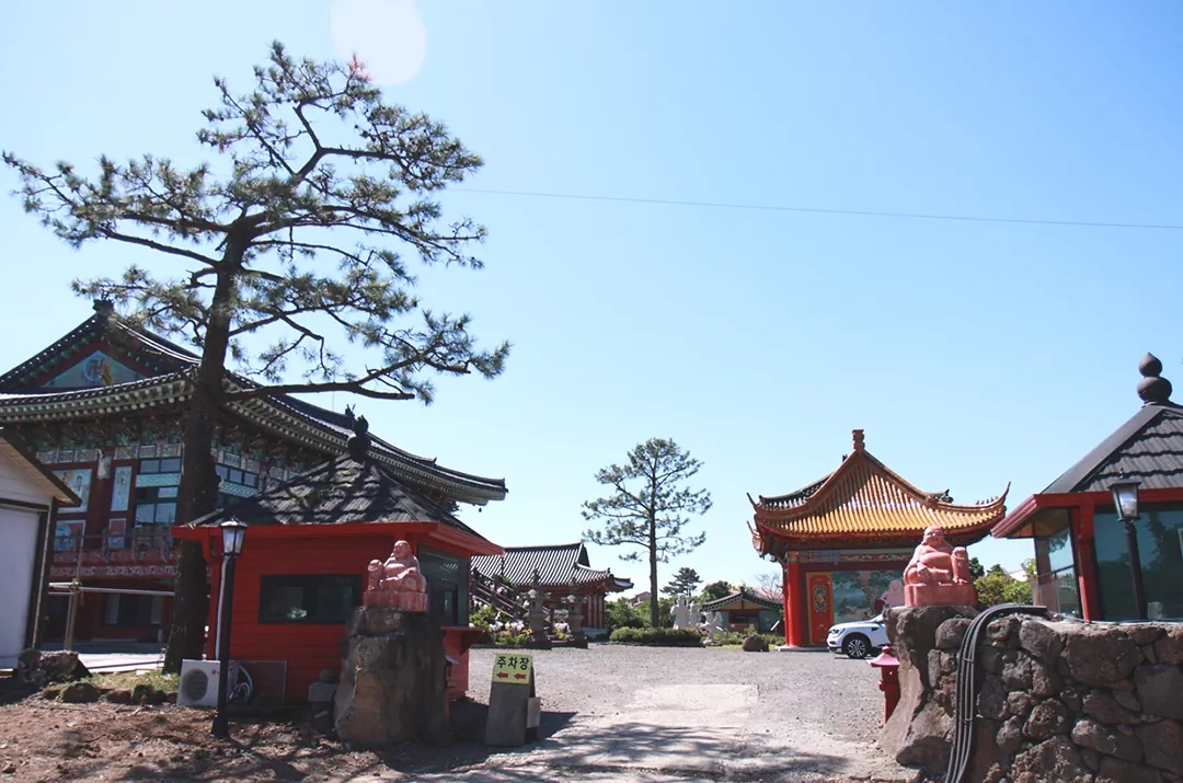 제주 올레길 15코스 A코스 완벽 가이드: 한림항부터 고내포구까지 걷는 내륙 트레일 안내