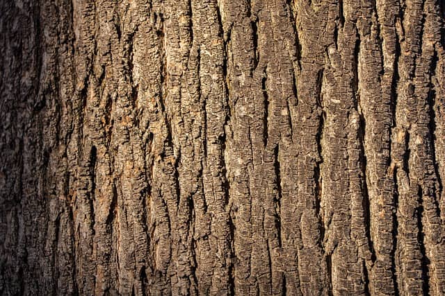 나무 재질 사진