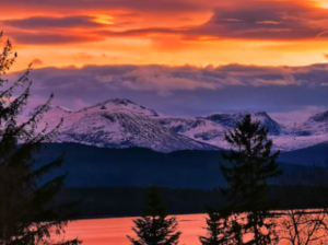 부정맥에 좋은 음식