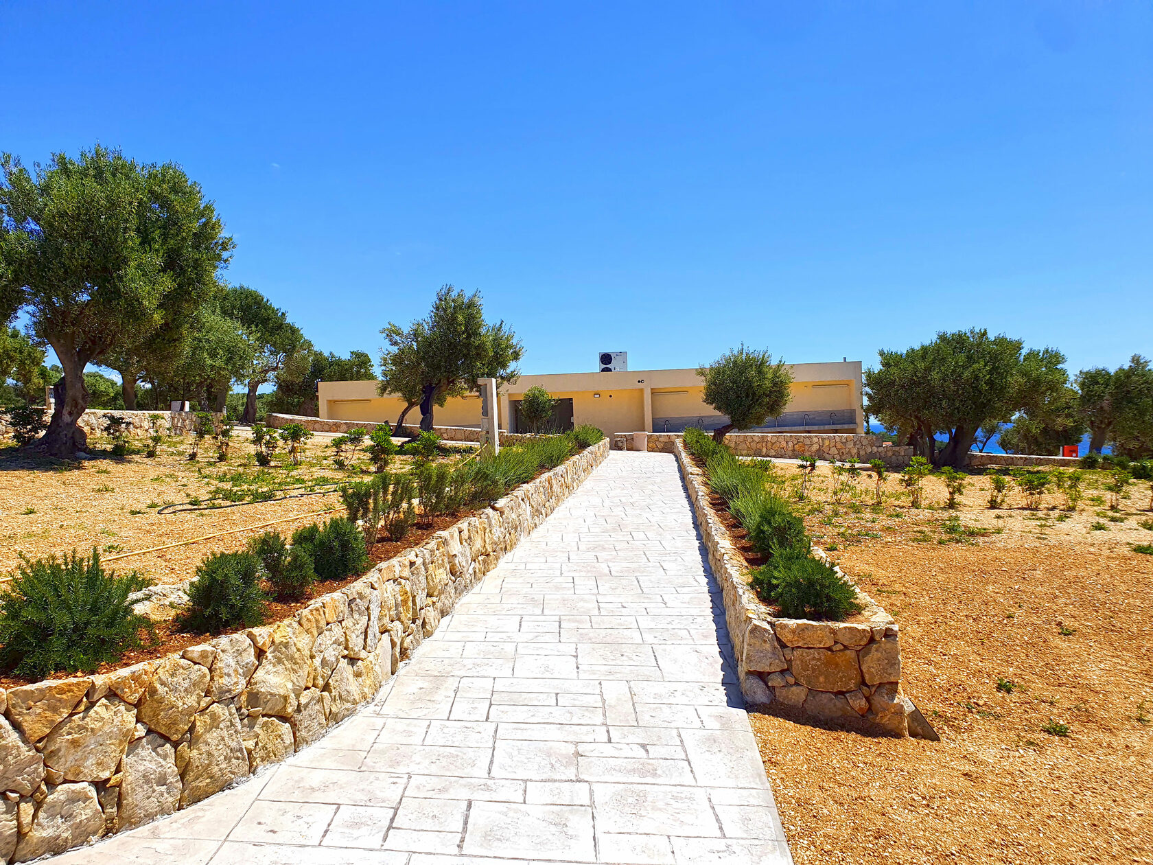 oleacamping 전경 사진