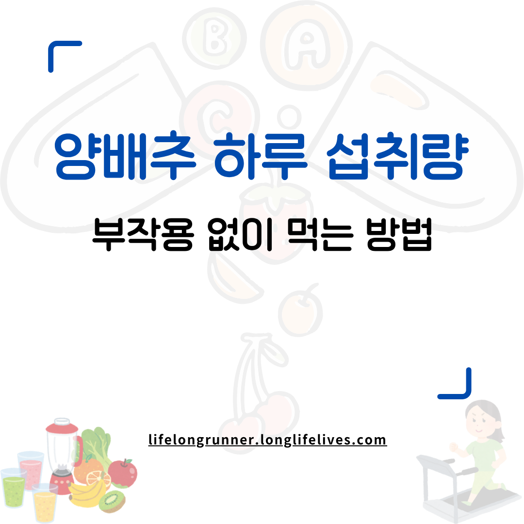 양배추 하루 섭취량과 효능, 부작용 없이 먹는 방법