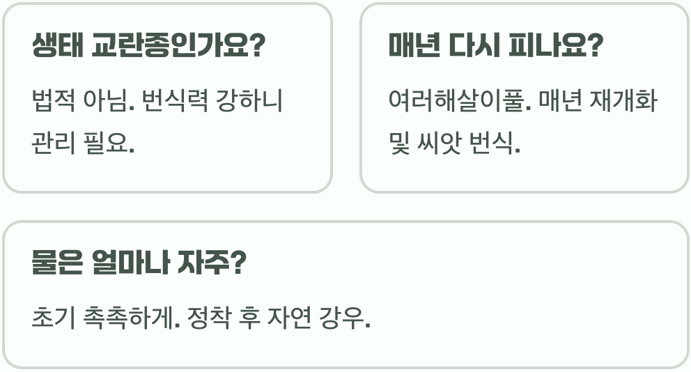 금계국 키우기, 씨앗부터 파종해 꽃밭 만드는 법 A to Z
