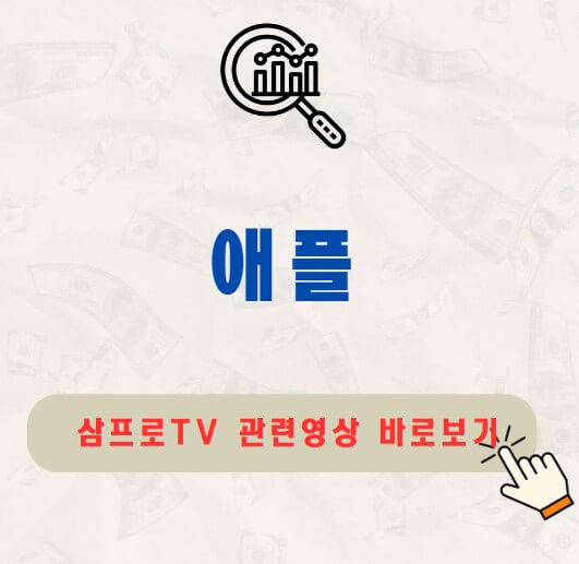 애플 주가 배당금 지급일