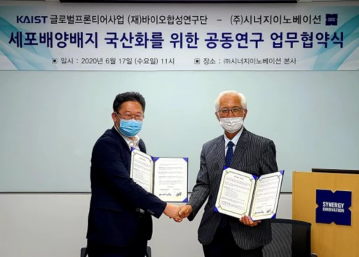시너지이노베이션