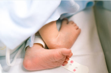 고용보험 미적용자 출산급여