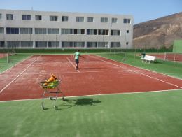 테니스 4대 메이저 대회 및 일정