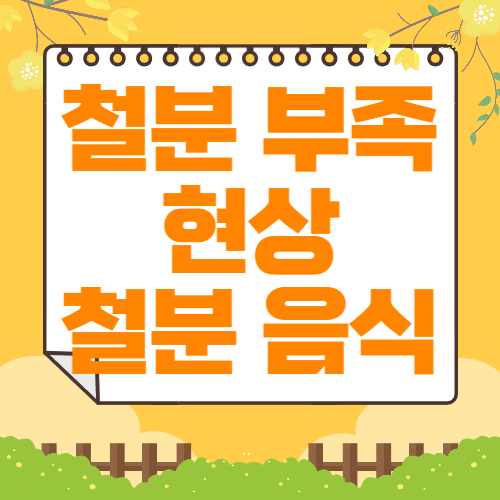 철분 부족 증상 및 철분 음식 살펴보기 설명서