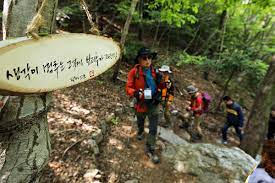 2024 땅끝해남 달마고도 힐링축제 기본일정과 특징 소개