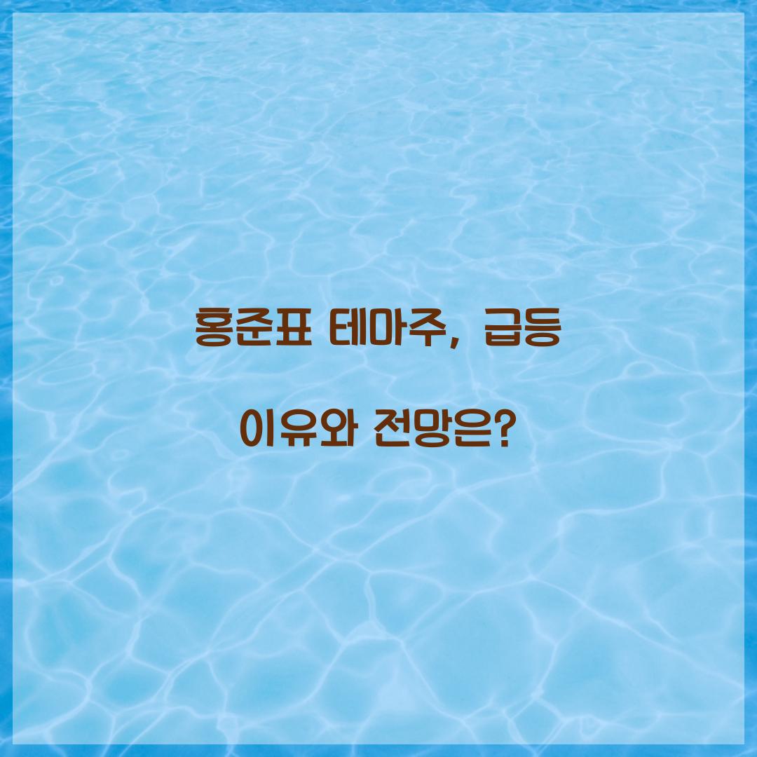 홍준표 테마주