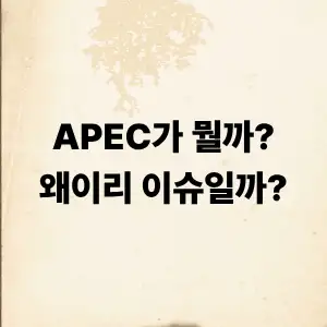 APEC가 뭘까