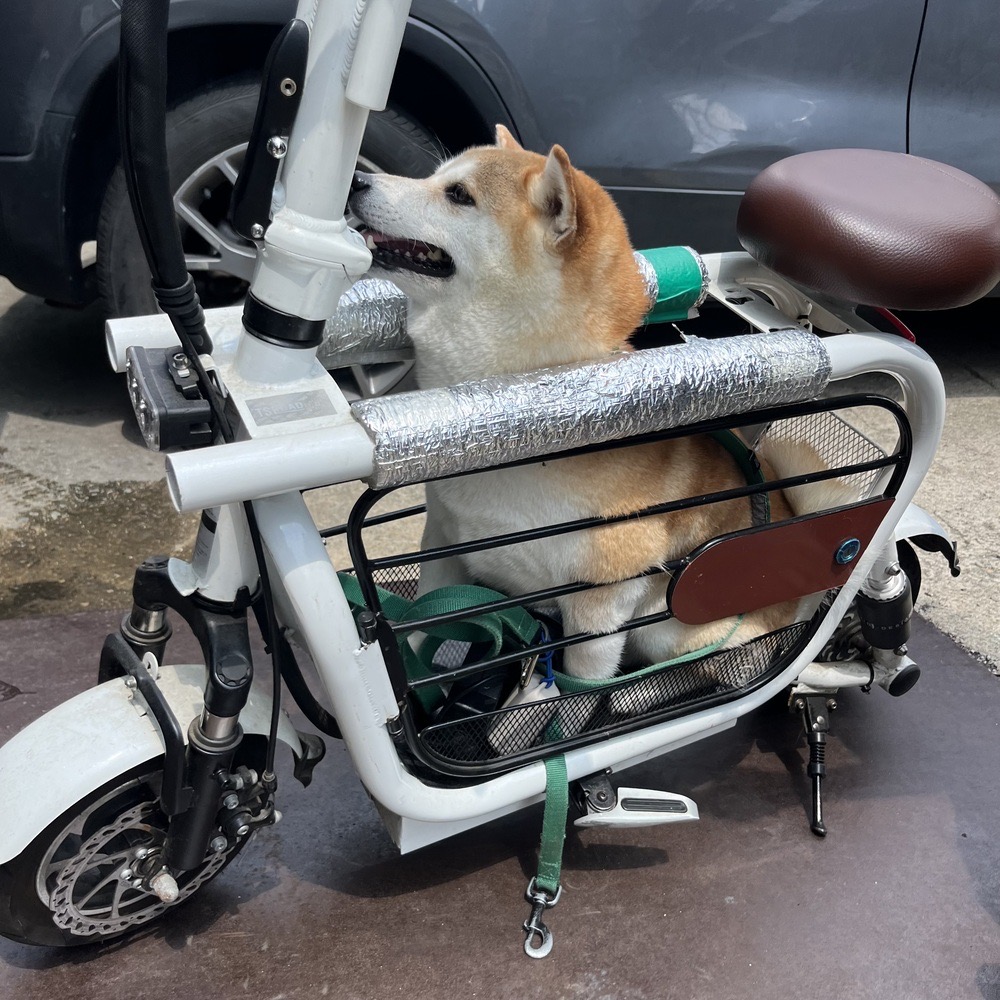 전동스쿠터 수리점 수원 - 이디뚜뚜 AS 타이어 펑크 교체