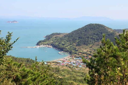 6시내고향 8297회 전남 여수 손죽도 배편 및 손죽도어촌마을식당