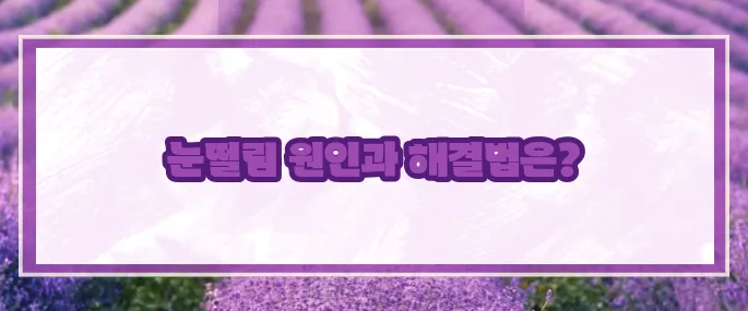 눈밑이 떨리는 증상 (+원인과 해결법)