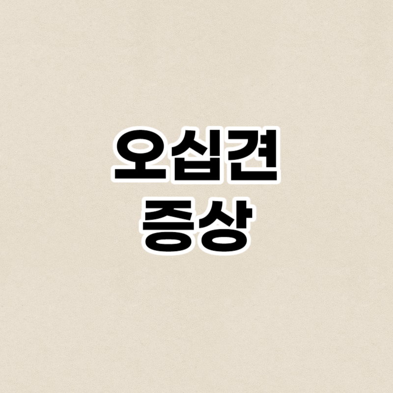 오십견 증상