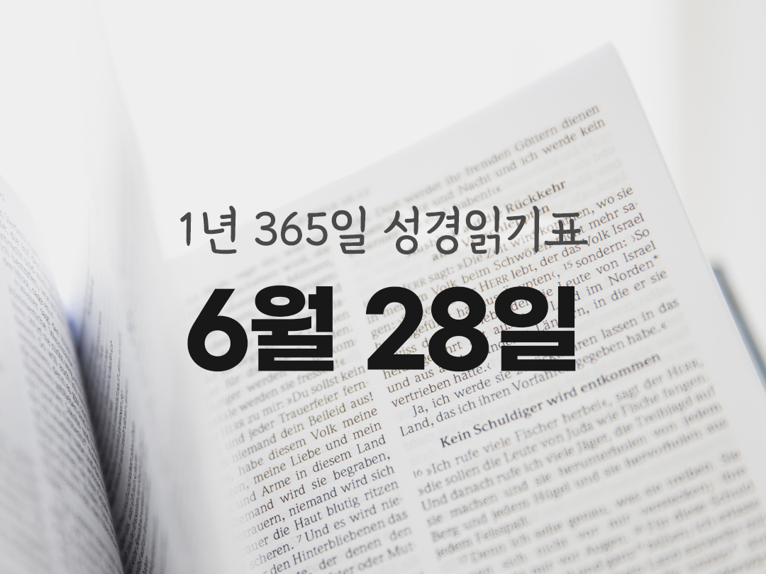 1년 365일 성경읽기표 잠언 성경읽기 진도표