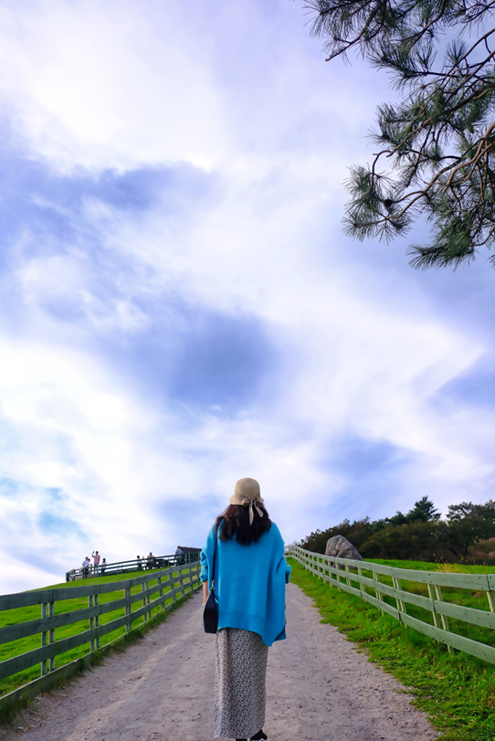 대관령 양떼 목장에서