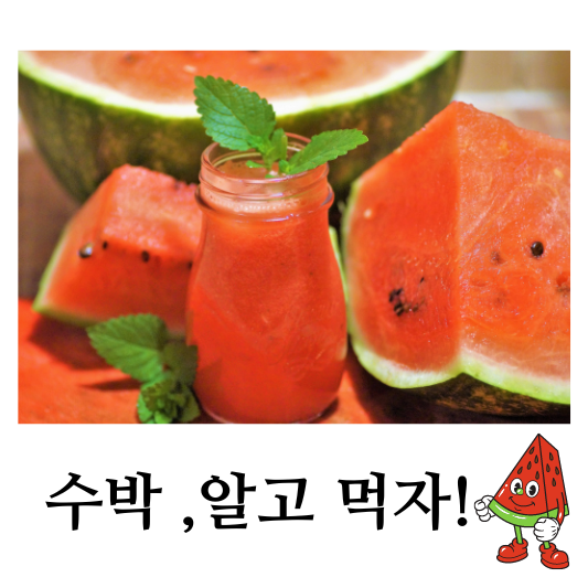 수박,알고 먹자!