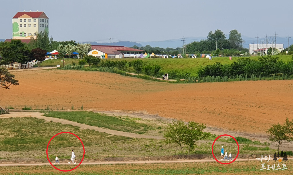 안성 팜랜드 가족나들이