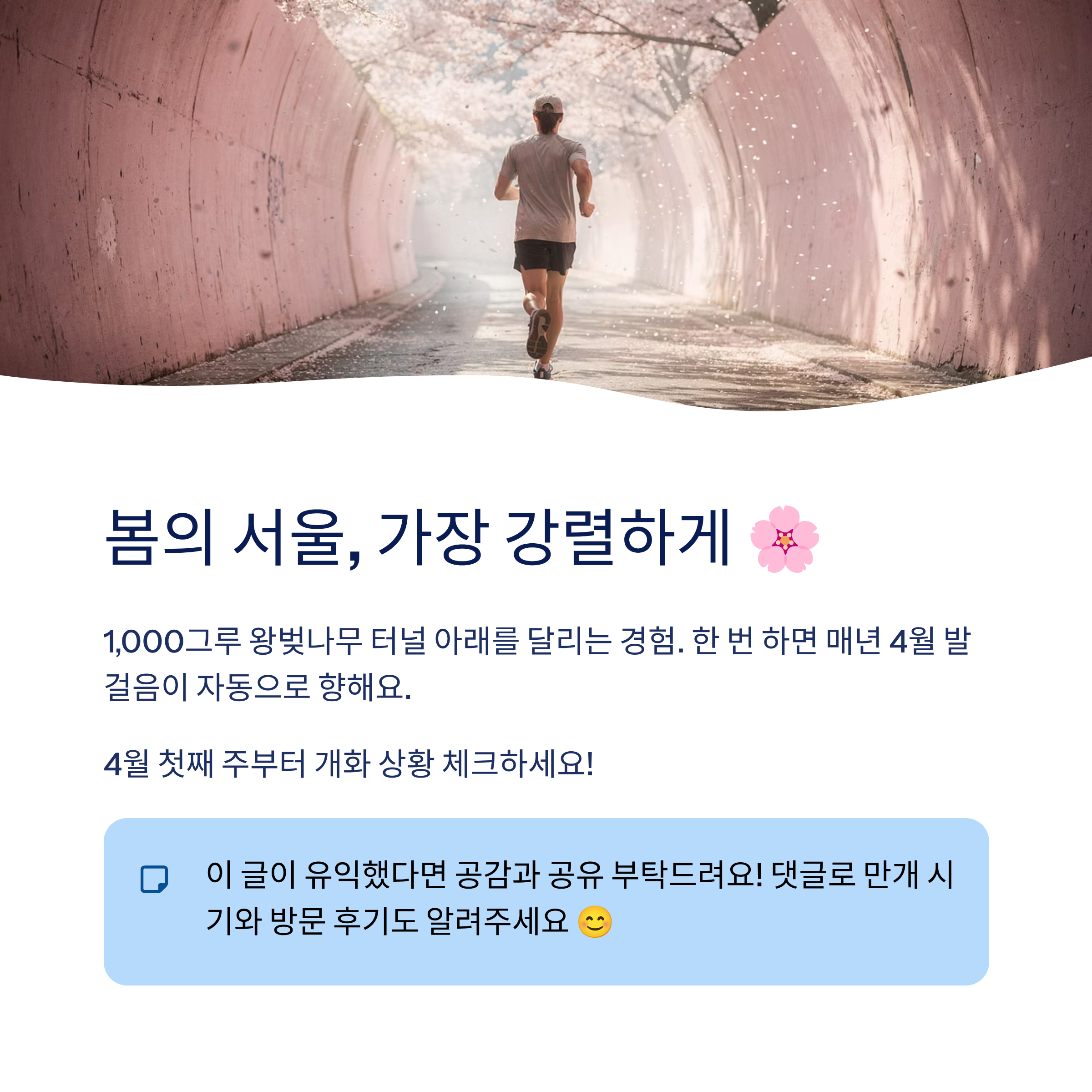 석촌호수 벚꽃 달리기 산책 코스 완벽 가이드❘2026 벚꽃축제·러닝·야경까지 총정리