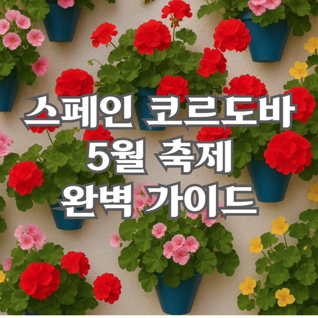 코로드바 5월 축제 완벽 가이드