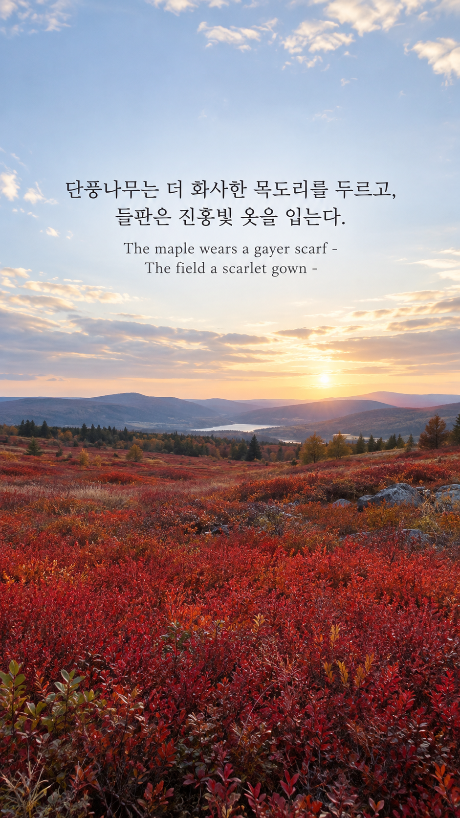 에밀리 디킨슨의 계절이 갈아입는 옷에 관한 가을 글귀 &mdash; 한글과 영어 원문을 담은 디지털 카메라 사진