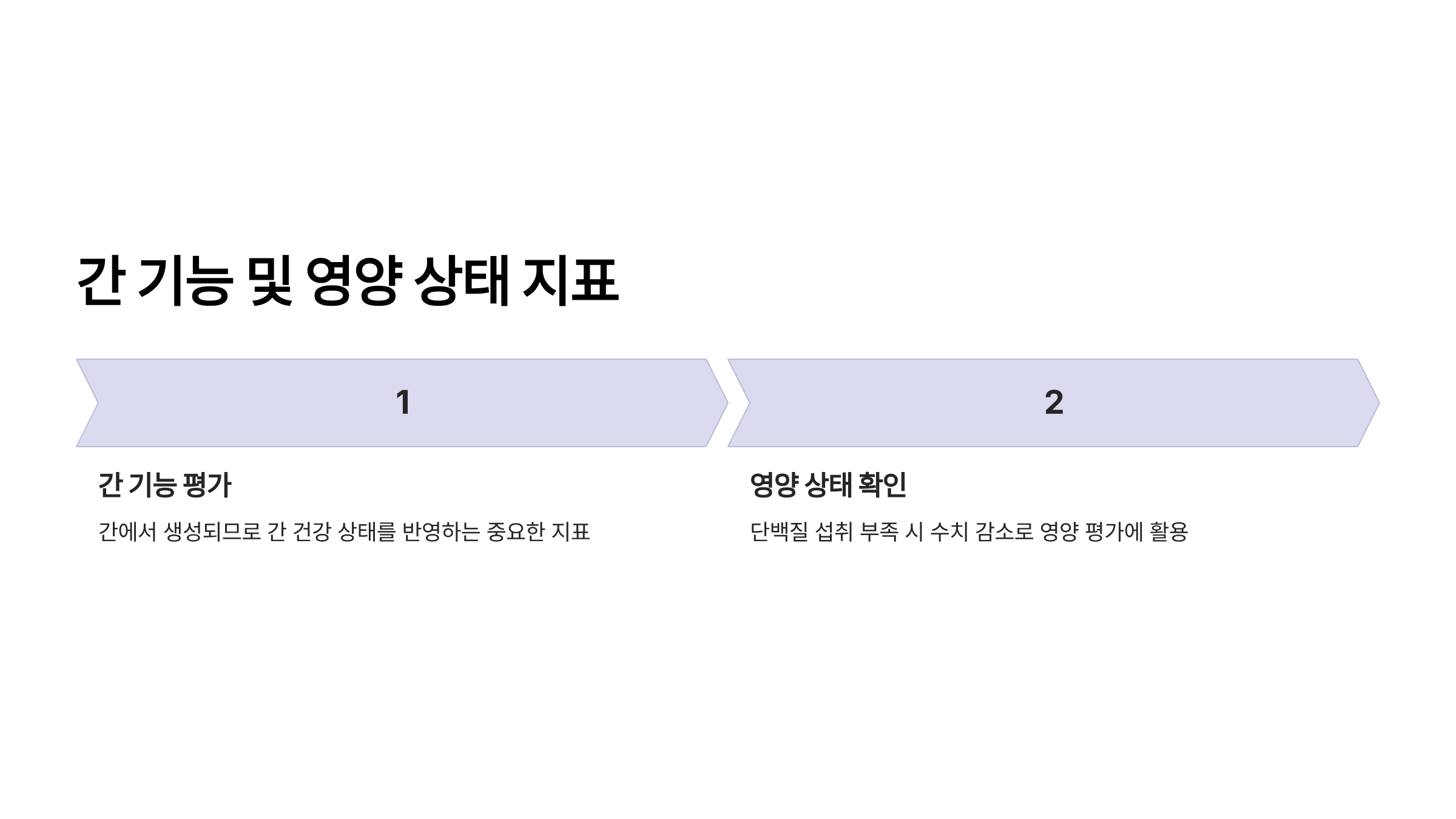 알부민의 효능 알부민 영양제 추천