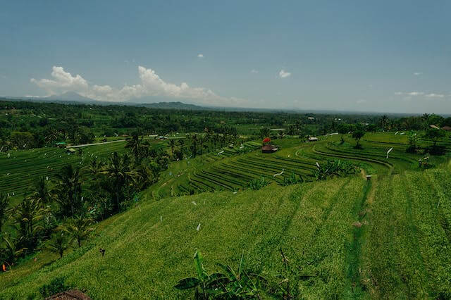 u보금자리론 대출한도