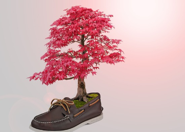 포토샵 체험판 무료 다운 방법 (2024년 11월) 1