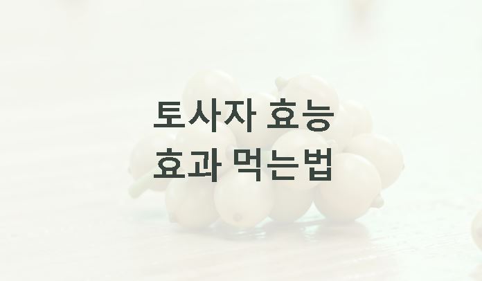 토사자 효능 효과 먹는법