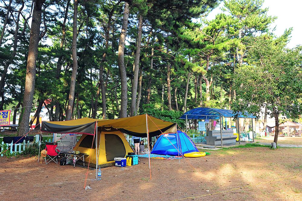 경상남도 남해군 송정솔바람야영장