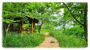까치산