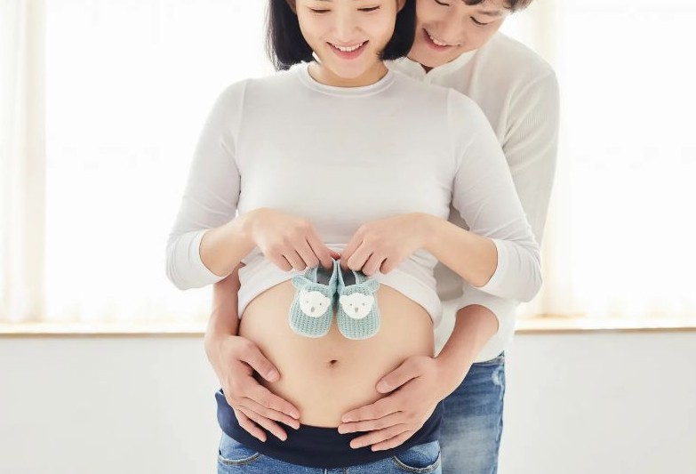 임신 꿈해몽