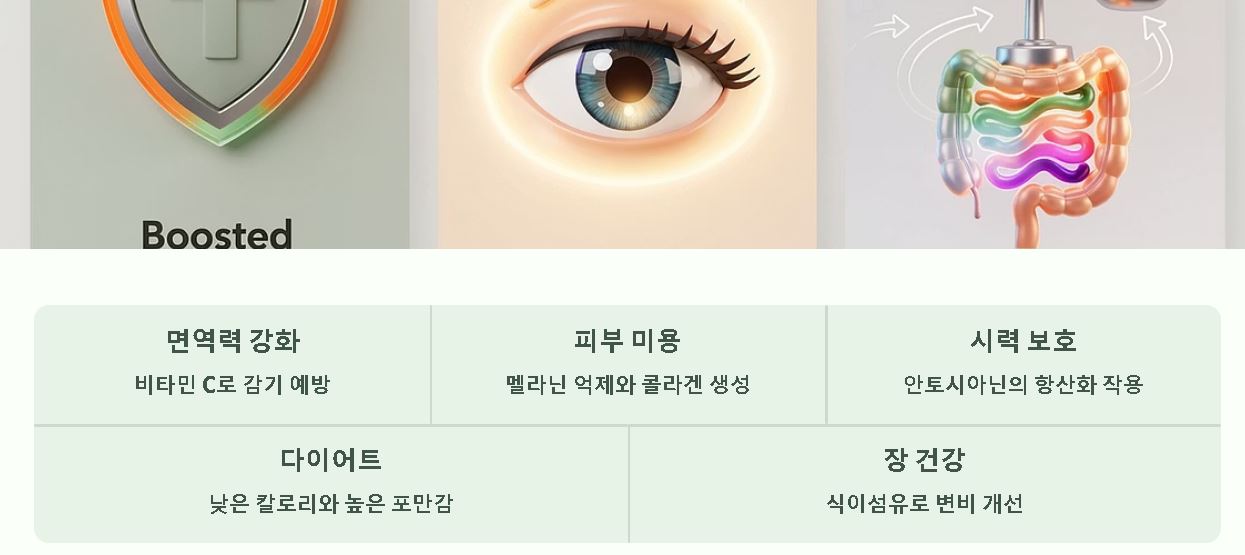 딸기 효능 부작용