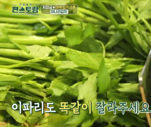 미나리-써는-이미지-2