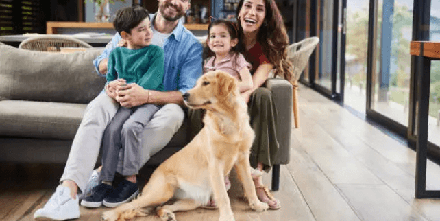 펫 아로마 테라피 모든것! 반려동물과 함께라면 꼭 참고하세요