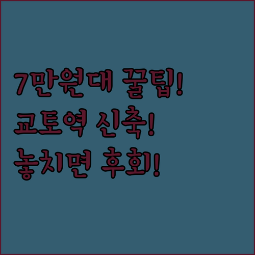 7만원대 최저가부터 신축까지 교토역 ..