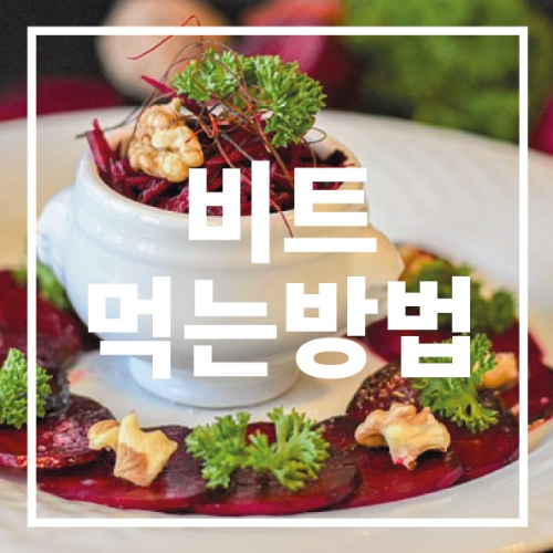 비트 먹는방법
