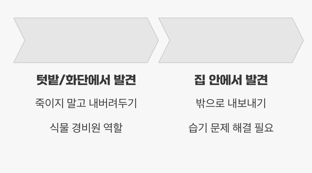 죽여야 할까? 현명한 공존의 기술