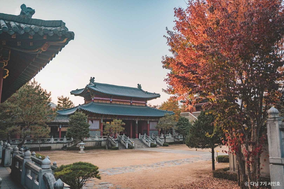 단양 가볼만한곳 베스트10