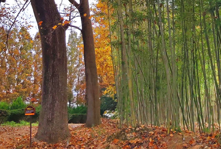 익산 아가페정원