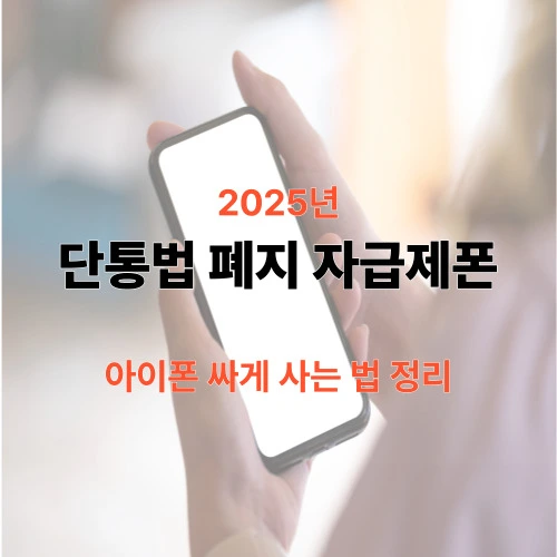 단통법 폐지 자급제