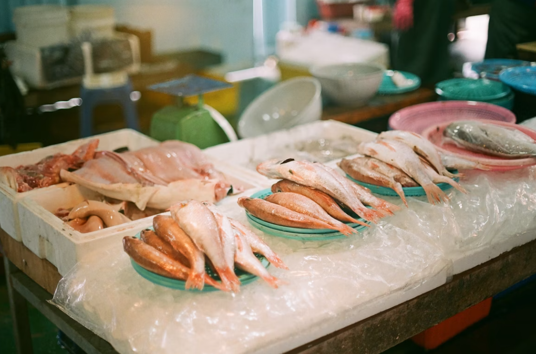 제주 동문 시장