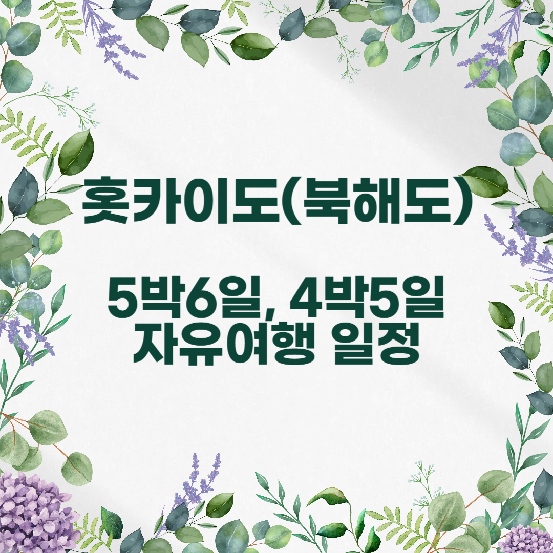 홋카이도(북해도) 자유여행 일정