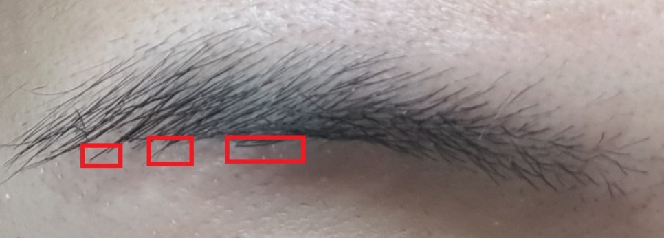 남자 아이브로우