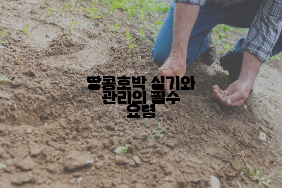 땅콩호박 심기와 관리의 필수 요령