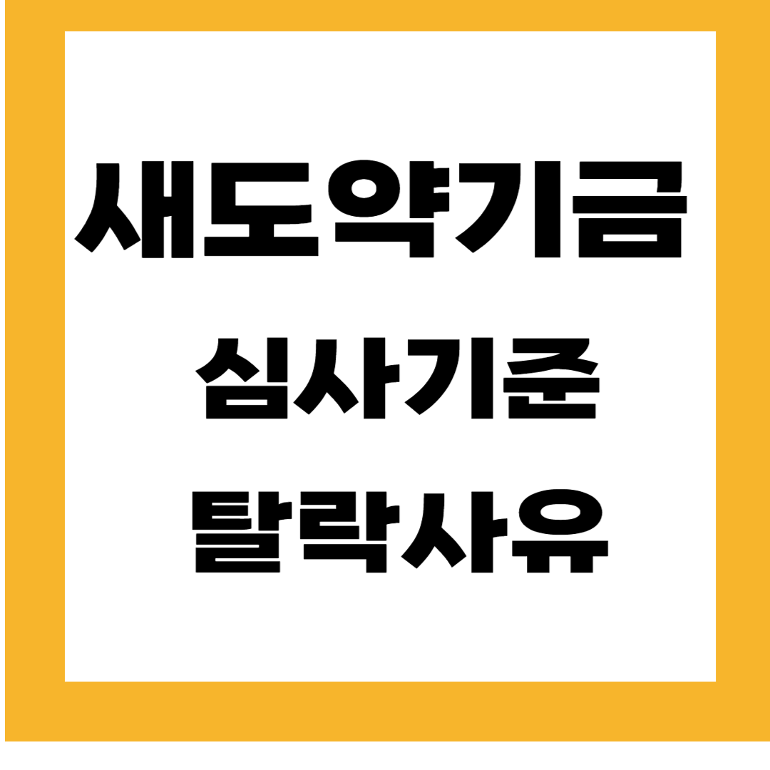 새도약기금 - 심사기준, 탈락사유 총정리