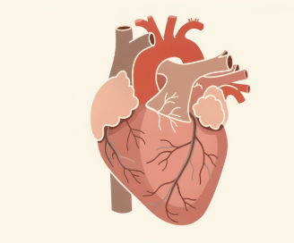 심근경색 초기증상