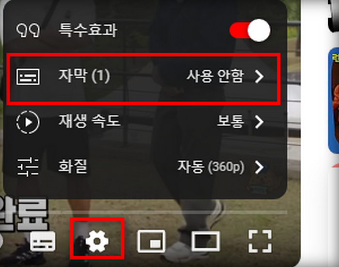 자막기능