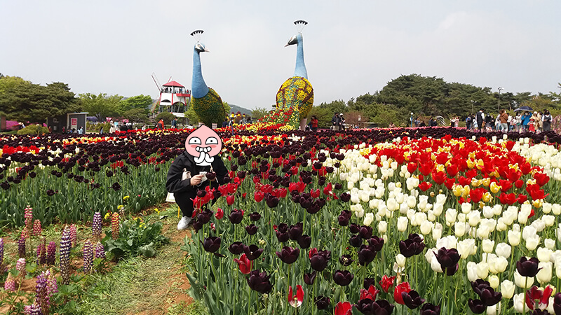 ํ์ ์ธ๊ณํค๋ฆฝ์ถ์ 