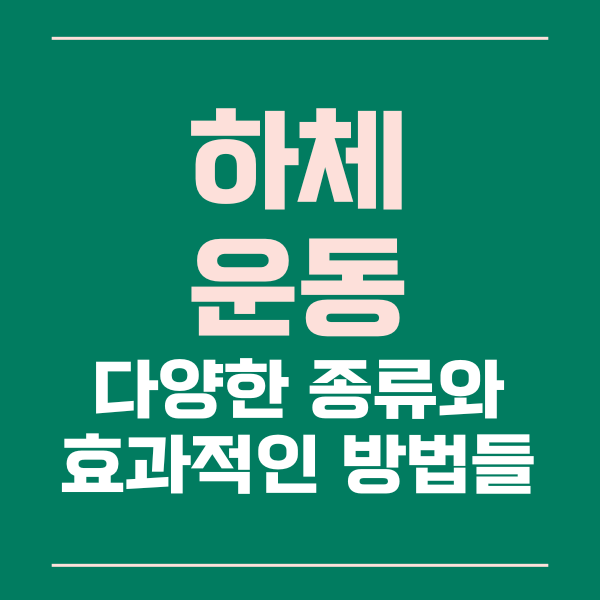 하체운동의방법